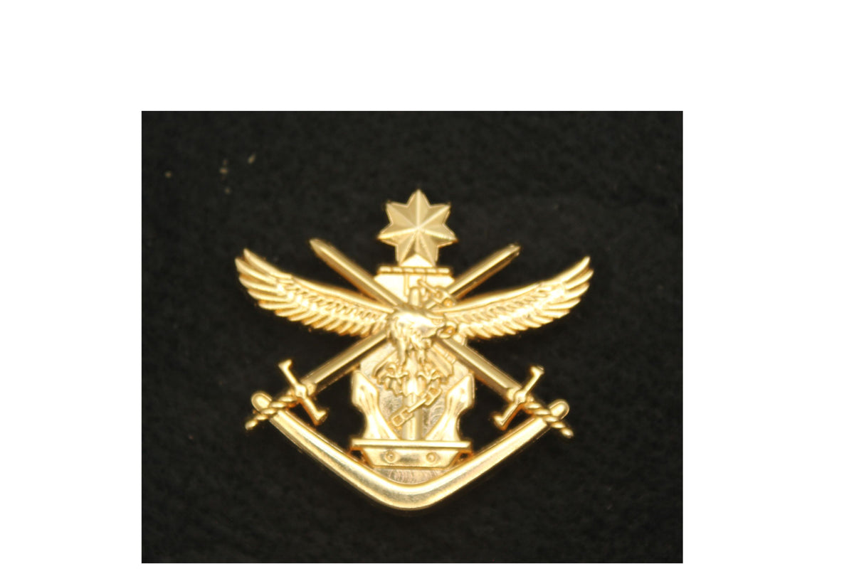 Tri-Service Hat Badge – Spit Polished Presentations