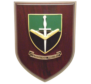 1 Commando Regiment
